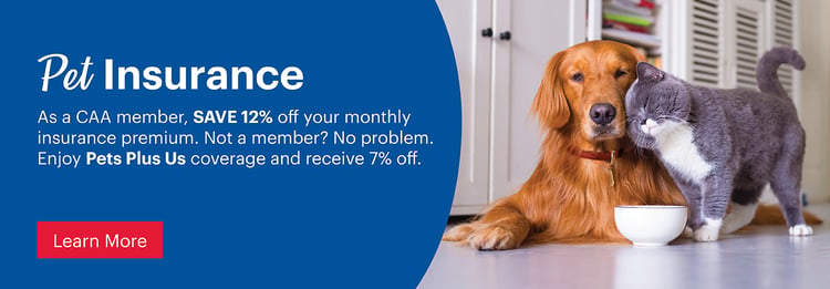 Pet Insurance Banner - 1260X440 (1)