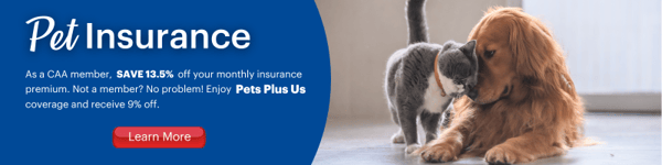 Pet Insurance blog footer update