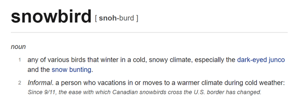 definition of a snowbird