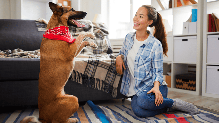 woman training her dog-min