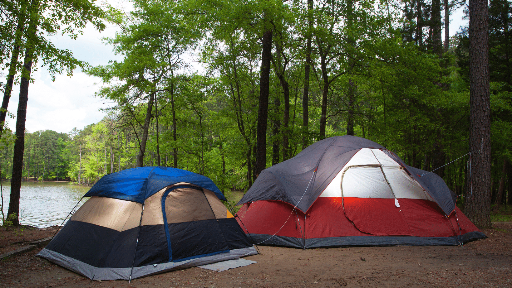 Best Ways to Experience Summer Camping in Saskatchewan
