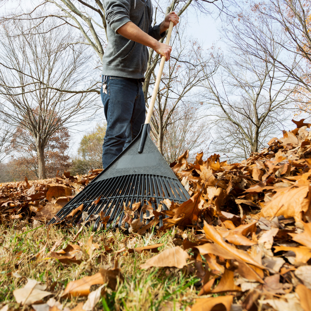 Fall Maintenance Checklist to Prepare Your Home for Winter