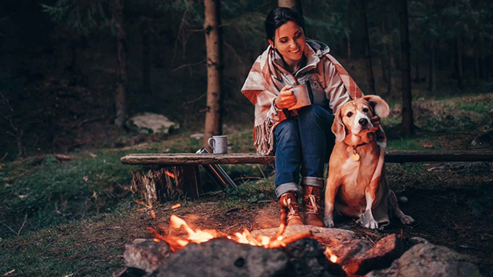 6 Tips to Keep in Mind When Camping with Dogs
