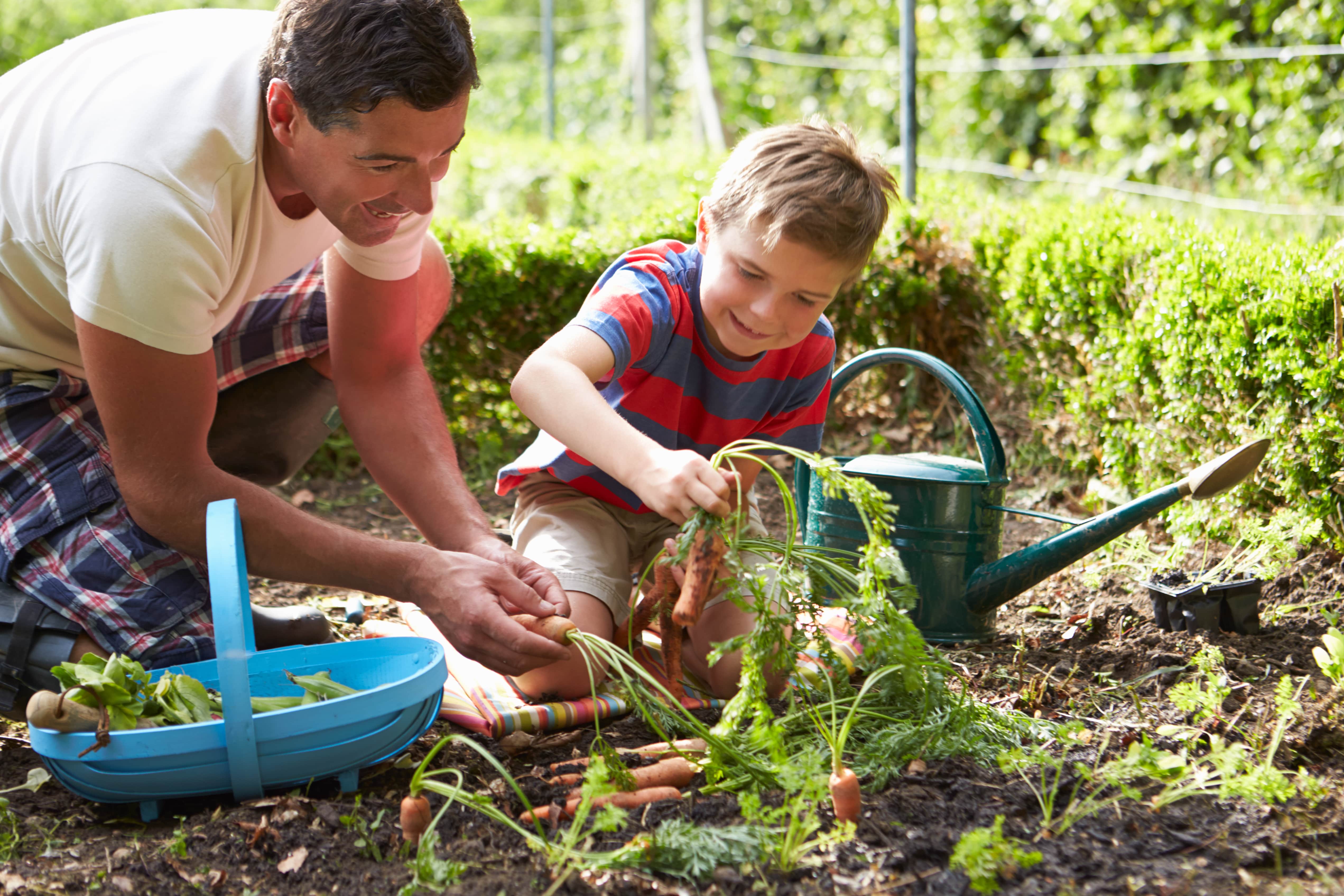 6 Tips for Planning the Perfect Home Garden This Season